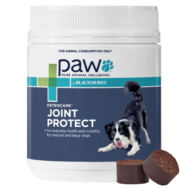 BLACKMORES PAW OSTEOCARE JOINT PROTECT