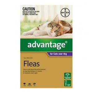 ADVANTAGE FLEA TREATMENT FOR CATS OVER 4kg