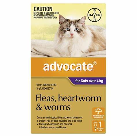 ADVOCATE FLEAS, HEARTWORMS & WORMS TREATMENT FOR CATS OVER 4kg 3pk