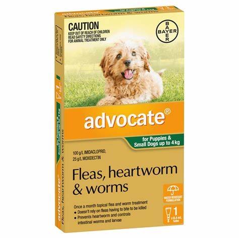 ADVOCATE FLEAS, HEARTWORM & WORMS TREATMENT FOR PUPPIES AND DOGS UP TO 4kg