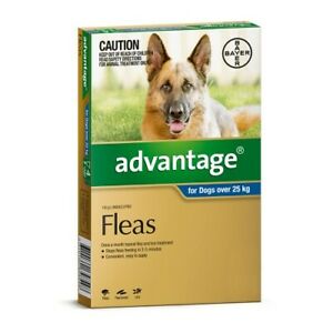 ADVANTAGE FLEA TREATMENT FOR DOGS OVER 25kg
